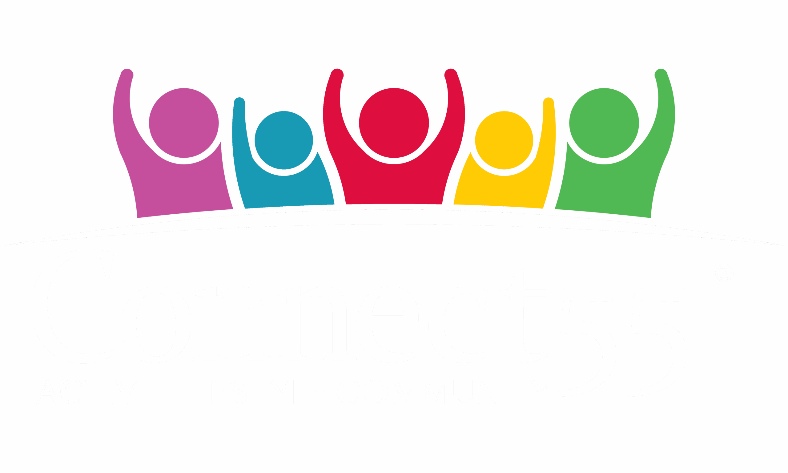 Connect 55 Logo